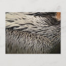 Recherche de oiseau abstrait cartes postales Plumes