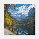 Recherche de alpin magnets Bleu