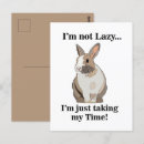 Recherche de lapin drôle cartes postales Lièvre
