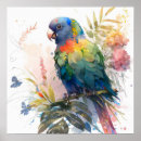 Recherche de peinture de perroquet posters Oiseau