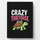 Recherche de tortue plaques Vie océanique