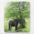 Recherche de mares tapis souris Chevaux