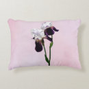 Recherche de iris barbu coussins Violet