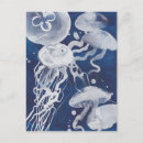 Recherche de sea life cartes postales Ocean