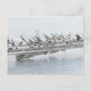 Recherche de instruments vent cartes postales Flûte
