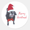 Recherche de carlin de noël autocollants Dog