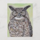 Recherche de chouettes cartes postales Grened owl