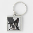 Recherche de boston terrier accessoires Terriers boston mignons