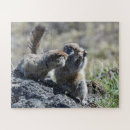 Recherche de écureuil puzzles Faune