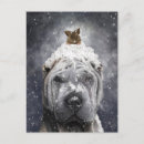 Recherche de shar pei cartes postales Dog
