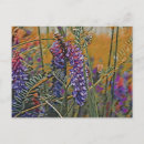 Recherche de couleur vibrante cartes postales Fleur