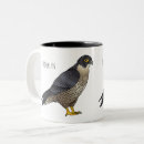 Recherche de pelerins tasses Oiseau