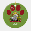 Recherche de pet ornamente Kitty
