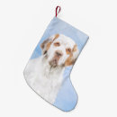 Recherche de citron chaussette de noël Blanc