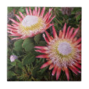 Recherche de image de couleur carreaux Proximité