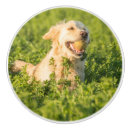 Recherche de balle tennis de boutons et poignées de porte Dog