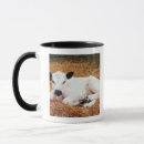 Recherche de veau tasses Horizontal