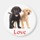 Recherche de races magnets Mutt