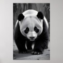 Recherche de majestueux art Animal