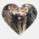 Recherche de de loup autocollants Pour enfants