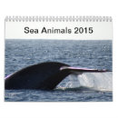 Recherche de dauphins calendriers Mer