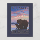 Recherche de wrangell Ours