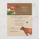 Recherche de vache laitière invitations Élevage