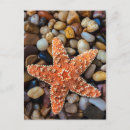 Recherche de roche dessus posters Vagues