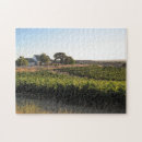 Recherche de vignoble puzzles Pays de vin