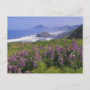 Recherche de accident cartes postales Fleur