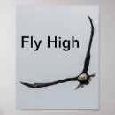 Recherche de aigle chauve posters Inspiré