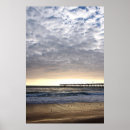 Recherche de canasson Obx