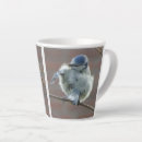Recherche de petit oiseau tasses Toute personne