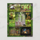 Recherche de açores cartes postales Nature