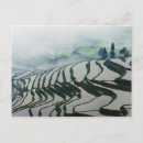 Recherche de champ agricole posters Beauté