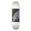 Recherche de requin skateboards Poisson marteau