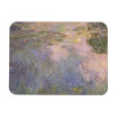 Recherche de étang magnets Monet