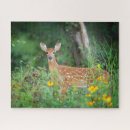 Recherche de animal bébé puzzles Cerf