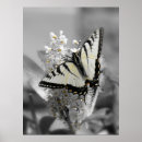 Recherche de subtil posters Gris