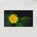 Recherche de fleurs pissenlit cartes visite Floral