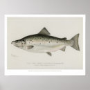 Recherche de verrouillé posters Rétro