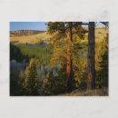 Recherche de peuplier cartes postales Paysage