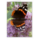 Recherche de buddleia Animaux