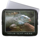 Recherche de reptile photographie Animal