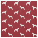 Recherche de taureau rouge Pitbull