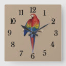Recherche de perroquet tropical horloges Rouge