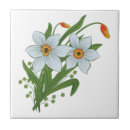 Recherche de fleur jonquille carreaux Fleurs