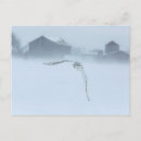 Recherche de hibou neige cartes postales Hiver