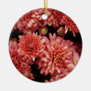Recherche de chrysanthèmes ornements Jardin