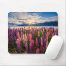 Recherche de fleur lupin tapis souris Paysage